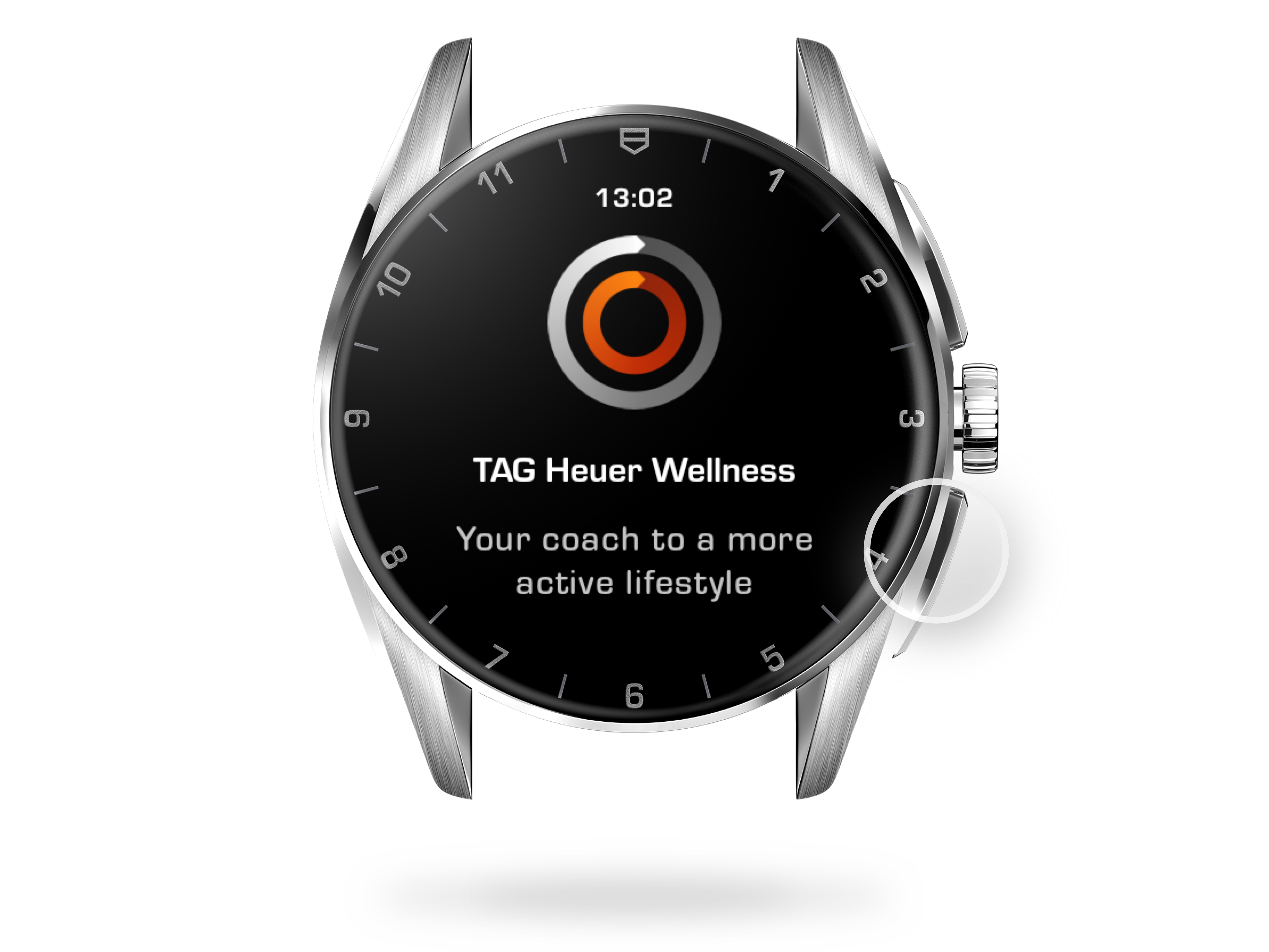 Wellness beginning